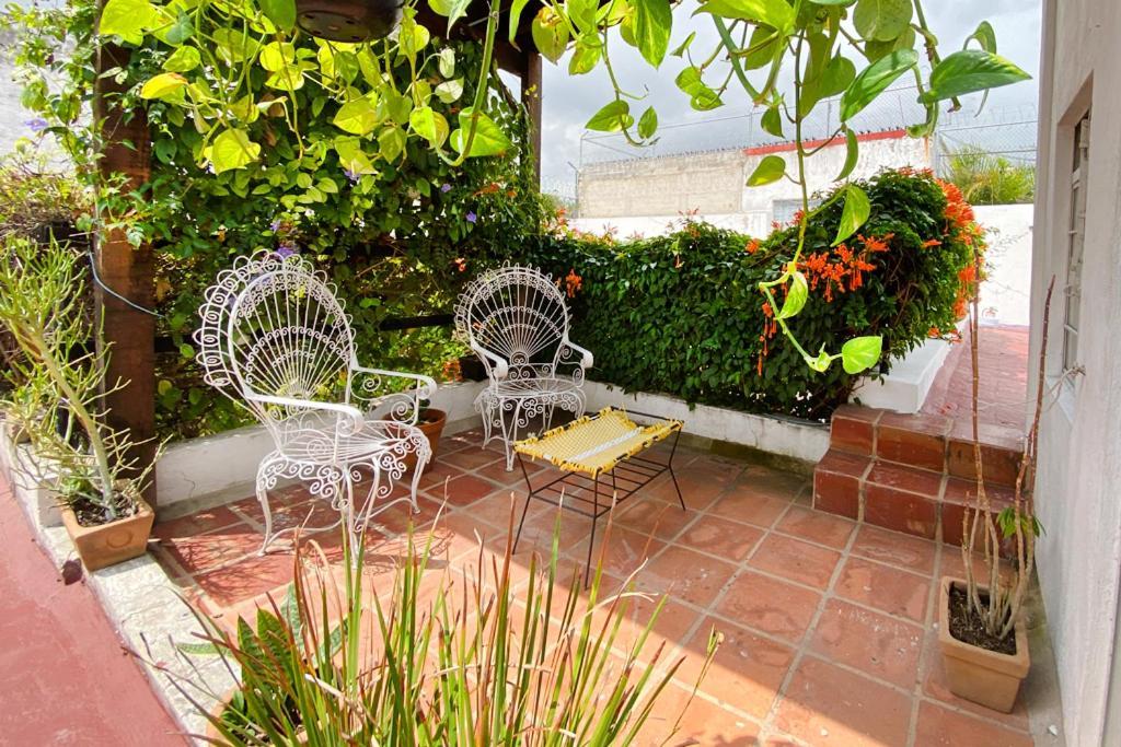 Casa Canario Hostel Guadalajara Kültér fotó