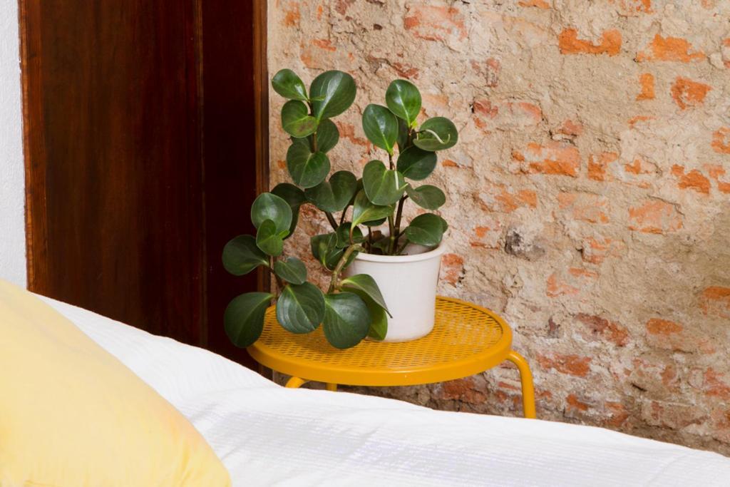 Casa Canario Hostel Guadalajara Kültér fotó