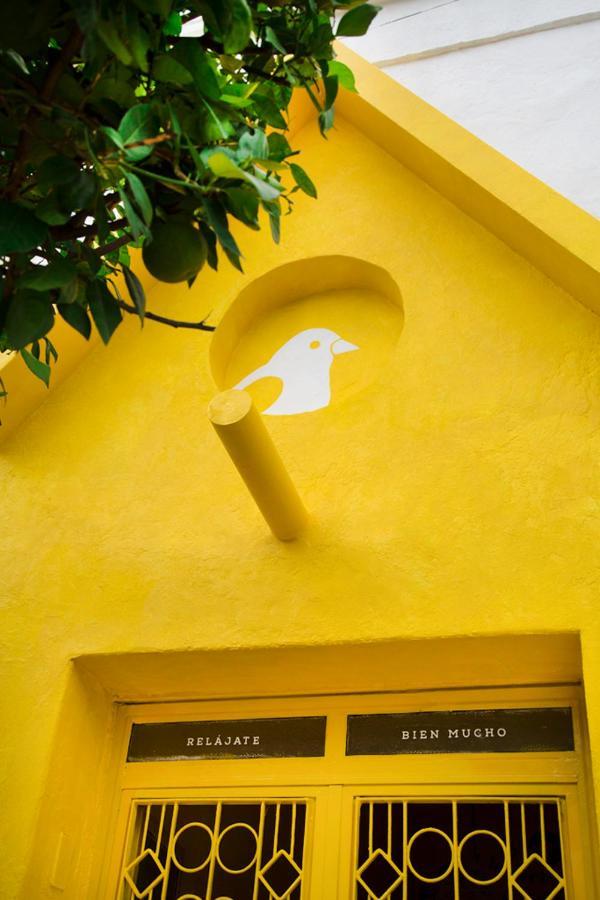 Casa Canario Hostel Guadalajara Kültér fotó