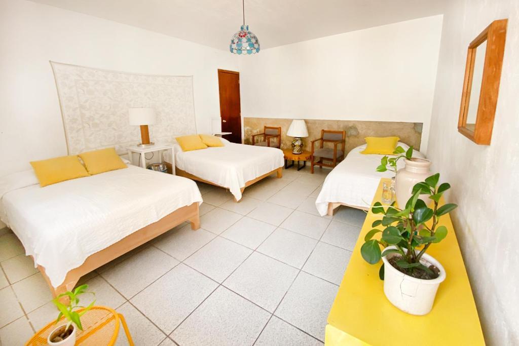 Casa Canario Hostel Guadalajara Kültér fotó