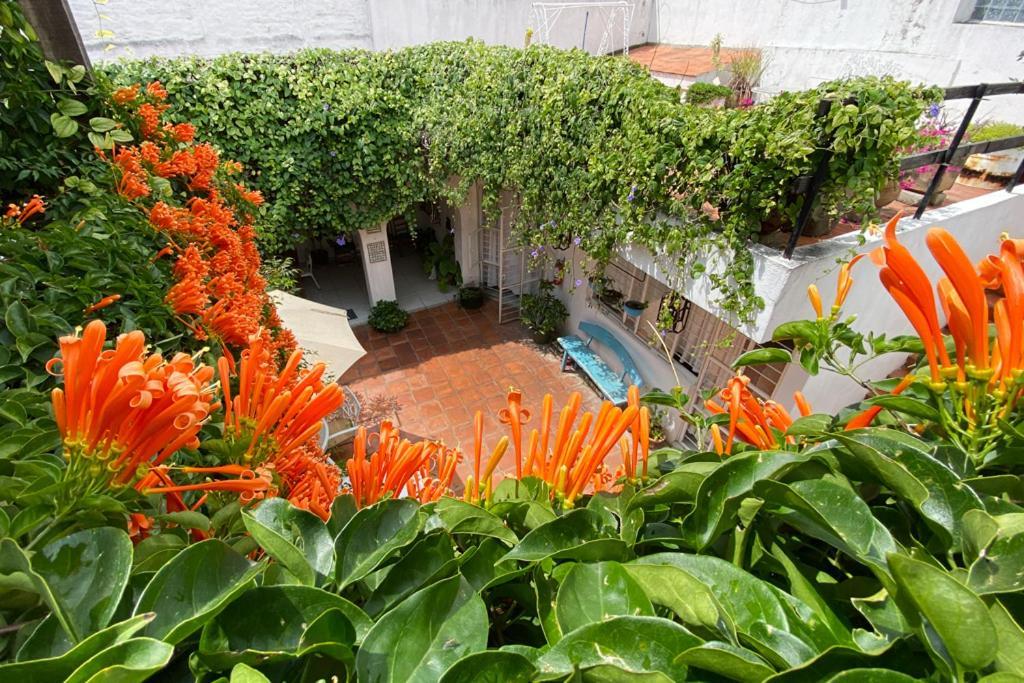 Casa Canario Hostel Guadalajara Kültér fotó