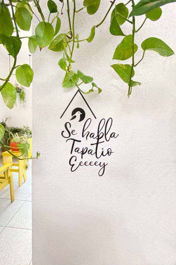 Casa Canario Hostel Guadalajara Kültér fotó